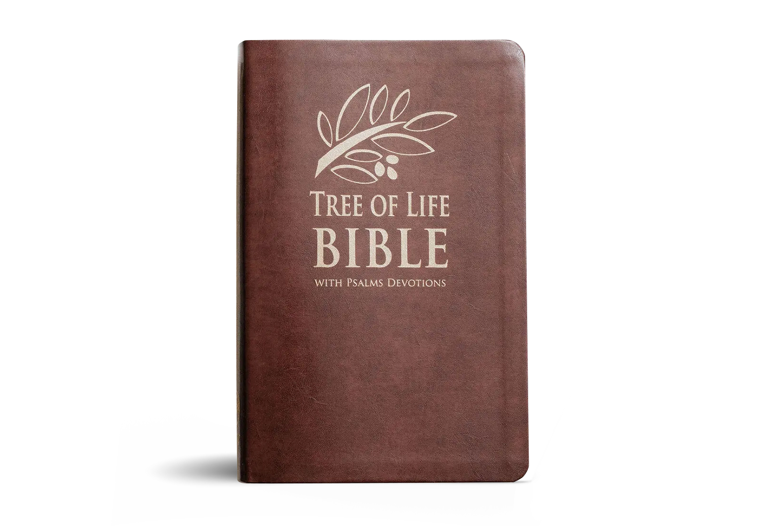 Tree of Life Bible by Daniah Greenberg from TBN