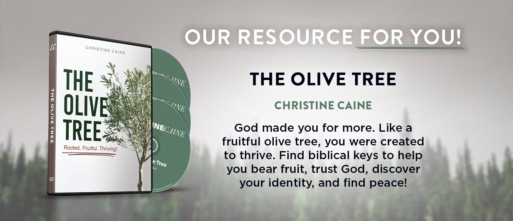 The Olive Tree by Christine Caine on TBN